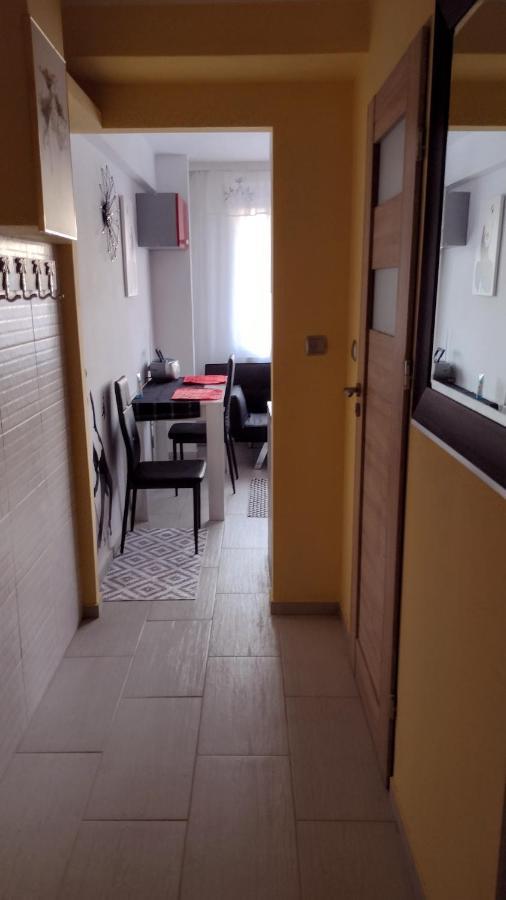 Apartament Elegant Катовице Екстериор снимка
